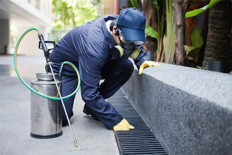 Técnico da Bioconser realizando desinsetização