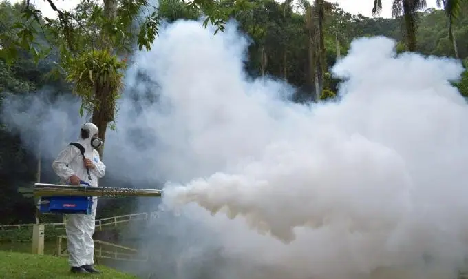 Mosquitos – controle de pragas Bioconser (foto 2)